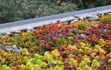 the cost of Risbury green roof installation